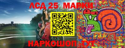 ешки Новозыбков