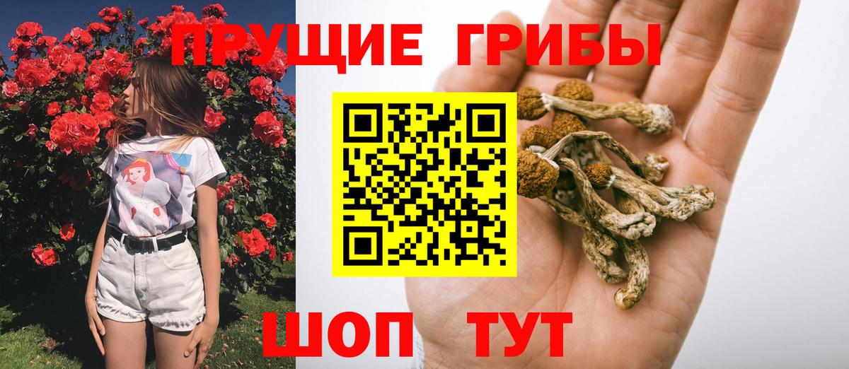 Галлюциногенные грибы Cubensis  Вход с VPN  Старая Купавна 